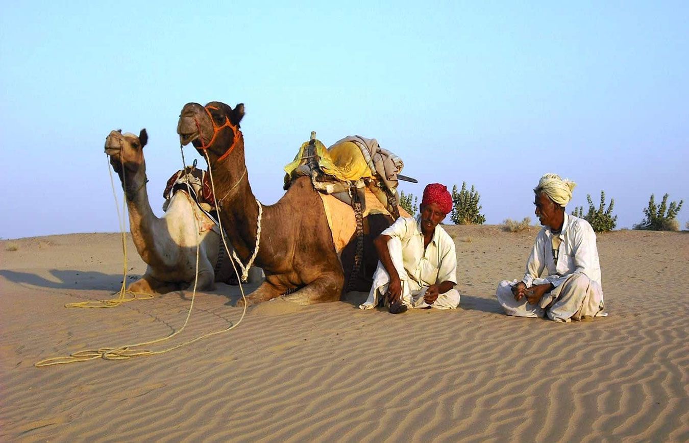 Voyage dans le desert du Thar au Rajasthan en Inde