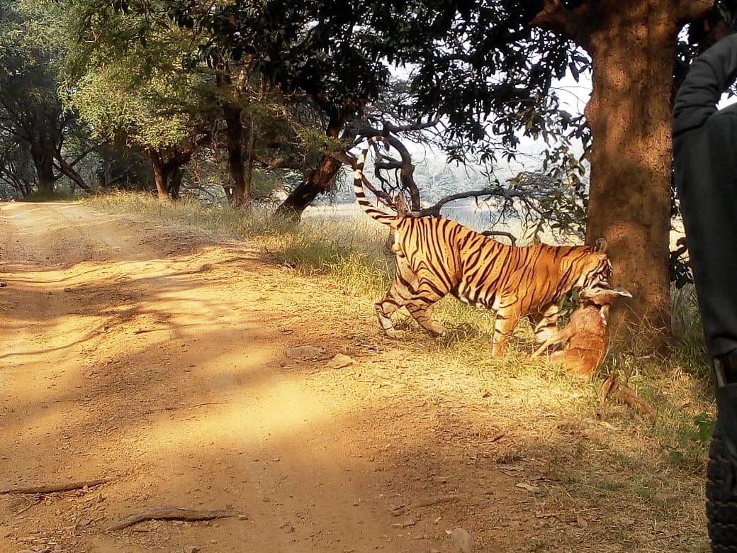 Spécialiste des voyages organisés en Inde au Rajasthan